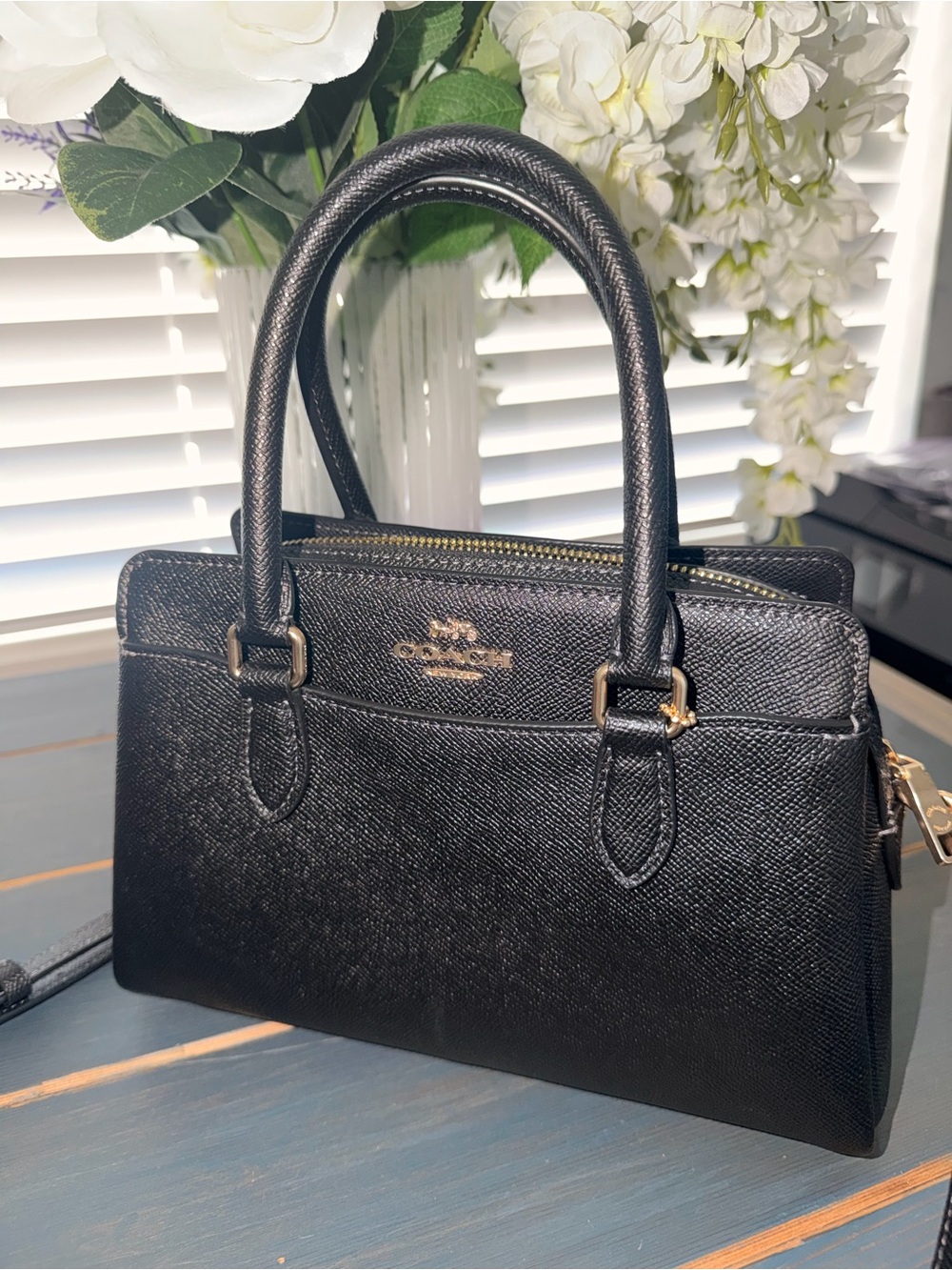 NEW COACH MINI DARCY CARRY ALL CROSSBODY BAG / PURSE